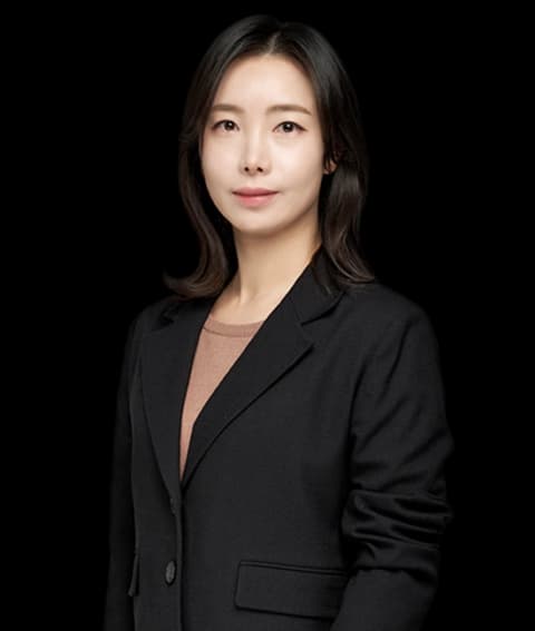 부산회계감리대응변호사 undefined