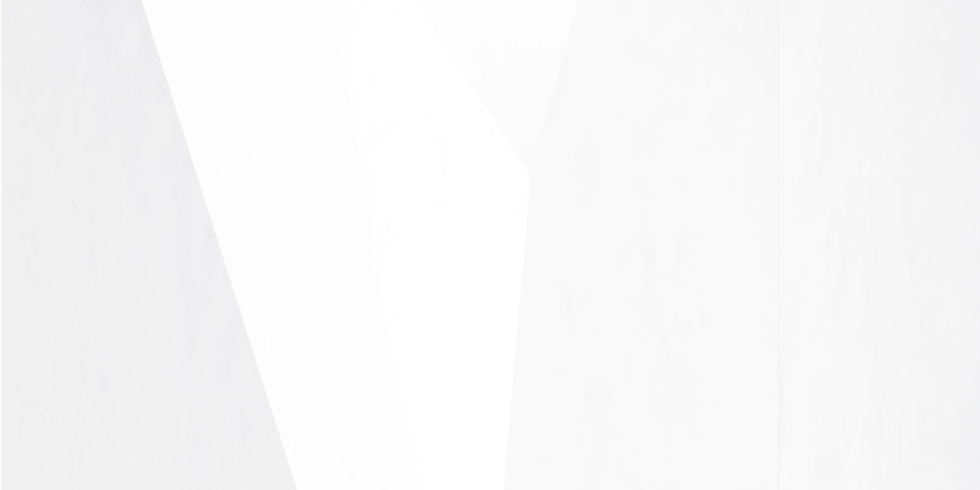 section2 bg